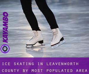 Ice Skating in Leavenworth County by most populated area - page 1