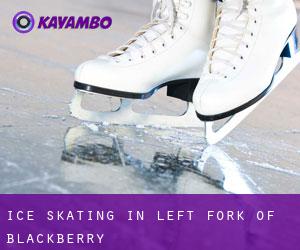 Ice Skating in Left Fork of Blackberry