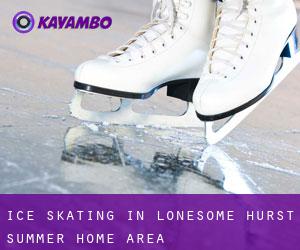 Ice Skating in Lonesome Hurst Summer Home Area