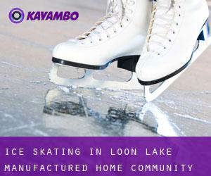Ice Skating in Loon Lake Manufactured Home Community
