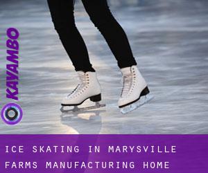 Ice Skating in Marysville Farms Manufacturing Home Community