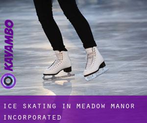 Ice Skating in Meadow Manor Incorporated