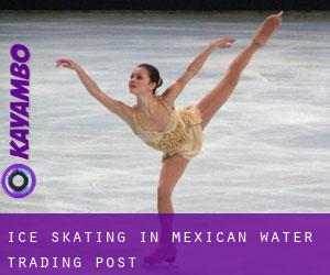 Ice Skating in Mexican Water Trading Post