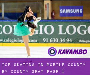 Ice Skating in Mobile County by county seat - page 1
