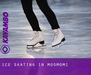 Ice Skating in Mo‘omomi