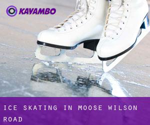 Ice Skating in Moose Wilson Road