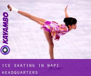 Ice Skating in Napi Headquarters
