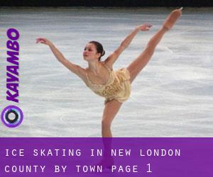 Ice Skating in New London County by town - page 1