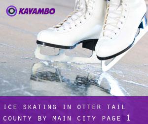 Ice Skating in Otter Tail County by main city - page 1