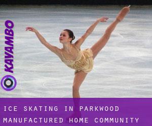 Ice Skating in Parkwood Manufactured Home Community