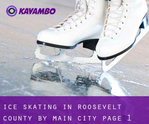 Ice Skating in Roosevelt County by main city - page 1