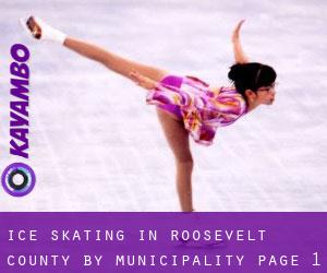 Ice Skating in Roosevelt County by municipality - page 1