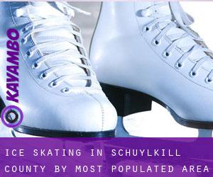 Ice Skating in Schuylkill County by most populated area - page 1