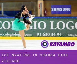 Ice Skating in Shadow Lake Village