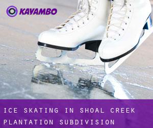 Ice Skating in Shoal Creek Plantation Subdivision