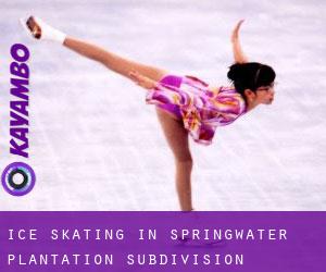 Ice Skating in Springwater Plantation Subdivision