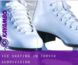 Ice Skating in Torvik Subdivision