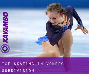 Ice Skating in Vonreg Subdivision
