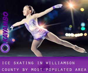 Ice Skating in Williamson County by most populated area - page 1