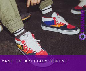 Vans in Brittany Forest