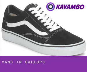 Vans in Gallups