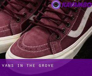 Vans in The Grove