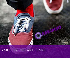 Vans in Tolani Lake