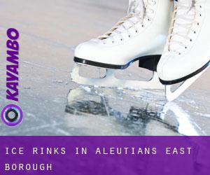 Ice Rinks in Aleutians East Borough