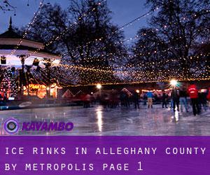 Ice Rinks in Alleghany County by metropolis - page 1