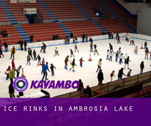 Ice Rinks in Ambrosia Lake