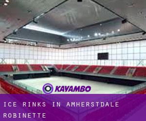 Ice Rinks in Amherstdale-Robinette