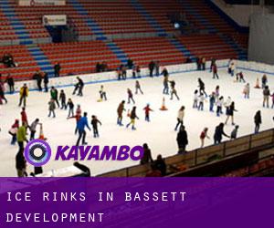 Ice Rinks in Bassett Development