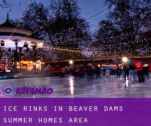 Ice Rinks in Beaver Dams Summer Homes Area