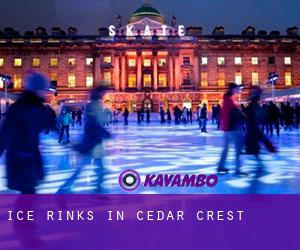 Ice Rinks in Cedar Crest