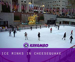 Ice Rinks in Cheesequake