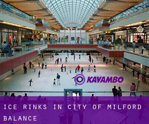 Ice Rinks in City of Milford (balance)