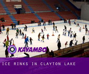 Ice Rinks in Clayton Lake