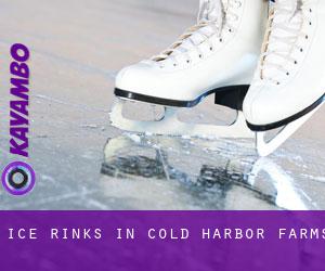 Ice Rinks in Cold Harbor Farms