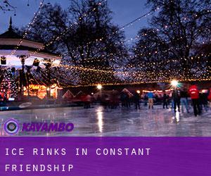 Ice Rinks in Constant Friendship