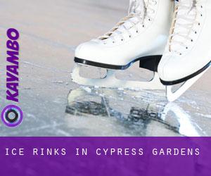 Ice Rinks in Cypress Gardens