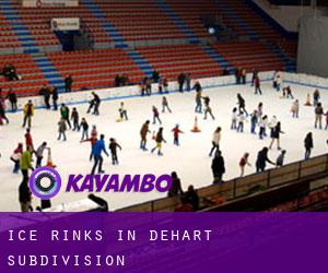 Ice Rinks in DeHart Subdivision