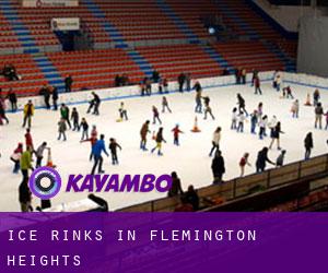 Ice Rinks in Flemington Heights