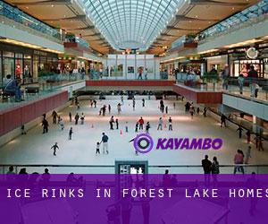Ice Rinks in Forest Lake Homes