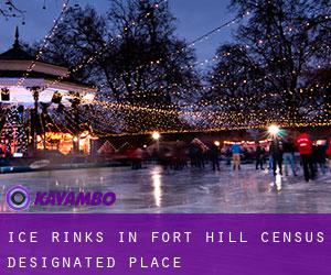 Ice Rinks in Fort Hill Census Designated Place