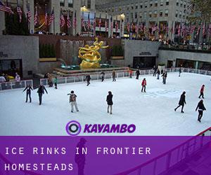 Ice Rinks in Frontier Homesteads
