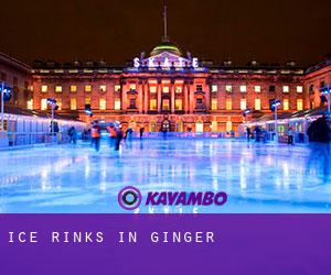 Ice Rinks in Ginger