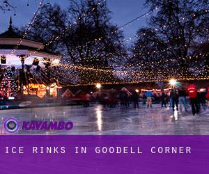Ice Rinks in Goodell Corner