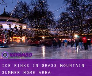 Ice Rinks in Grass Mountain Summer Home Area