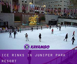 Ice Rinks in Juniper Park Resort