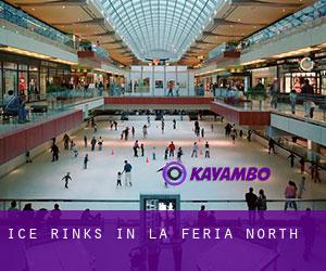 Ice Rinks in La Feria North